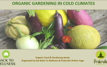 Organic Gardening in Cold Climates