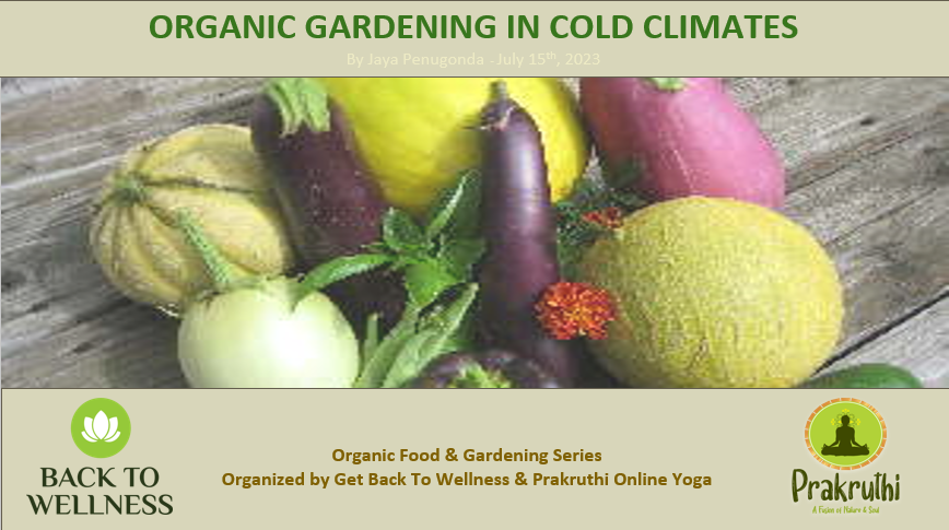 Organic Gardening in Cold Climates